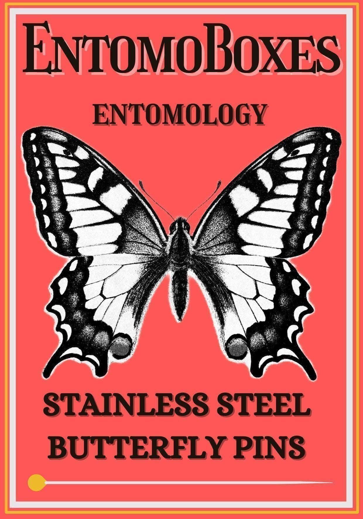 entomology insect pins (etsy image id: 7987235176)