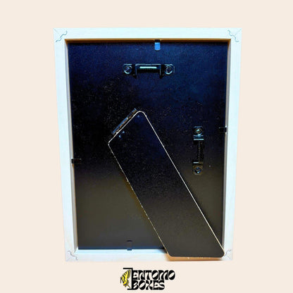 white shadow frame for insect display (etsy image id: 7992871492)
