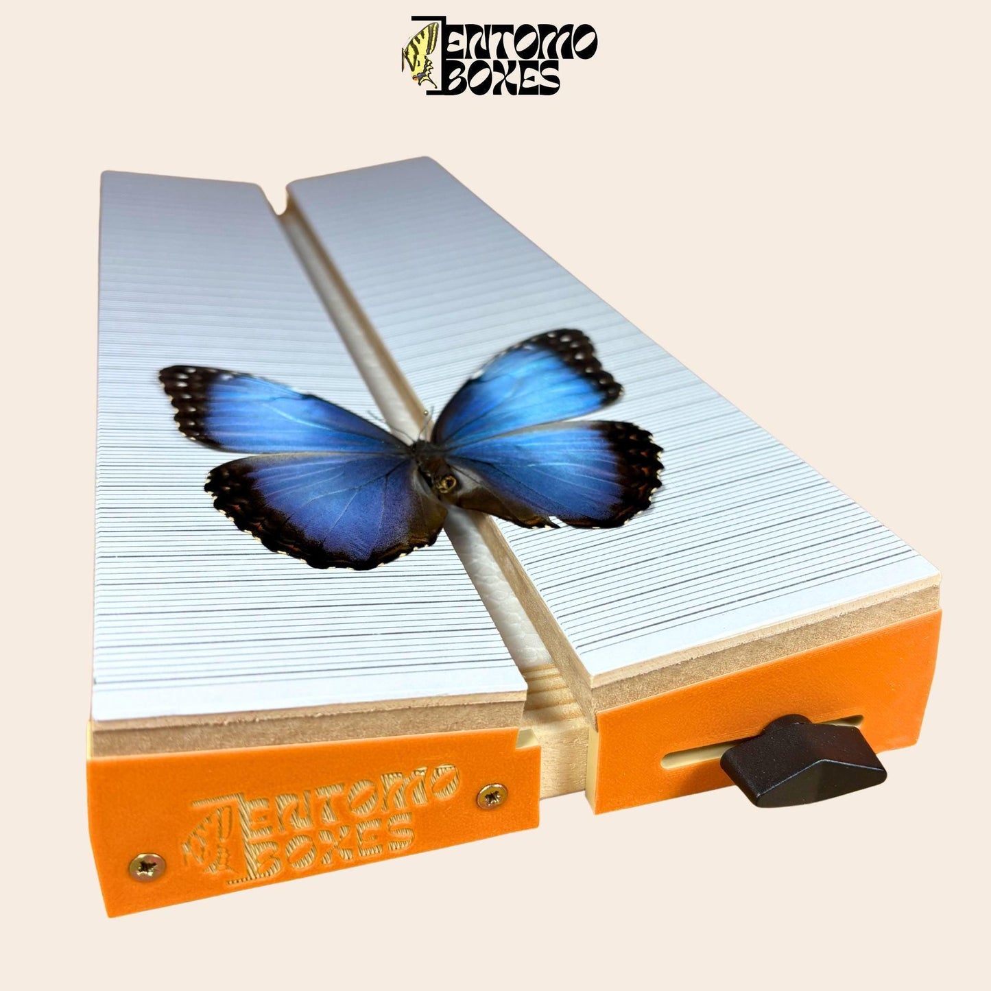 Adjustable Pinning Board