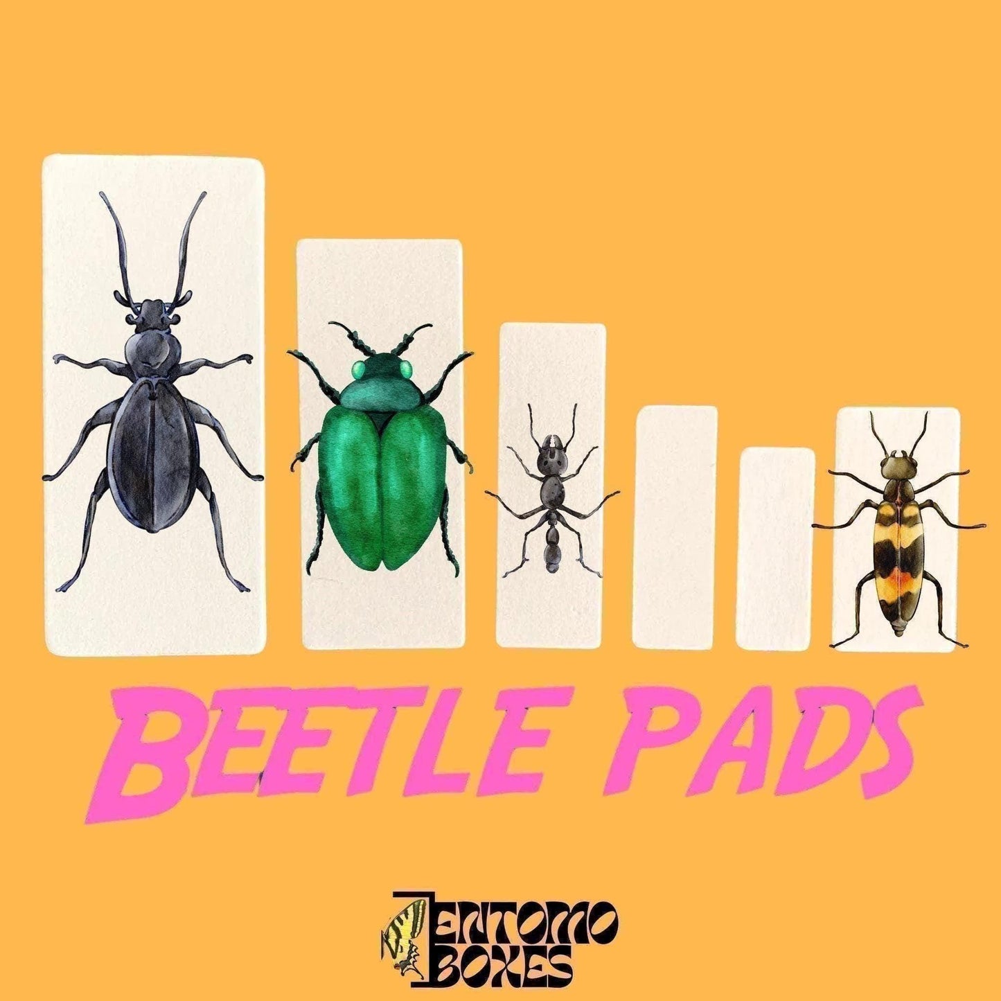 insect pinning cards (etsy image id: 8000798558)