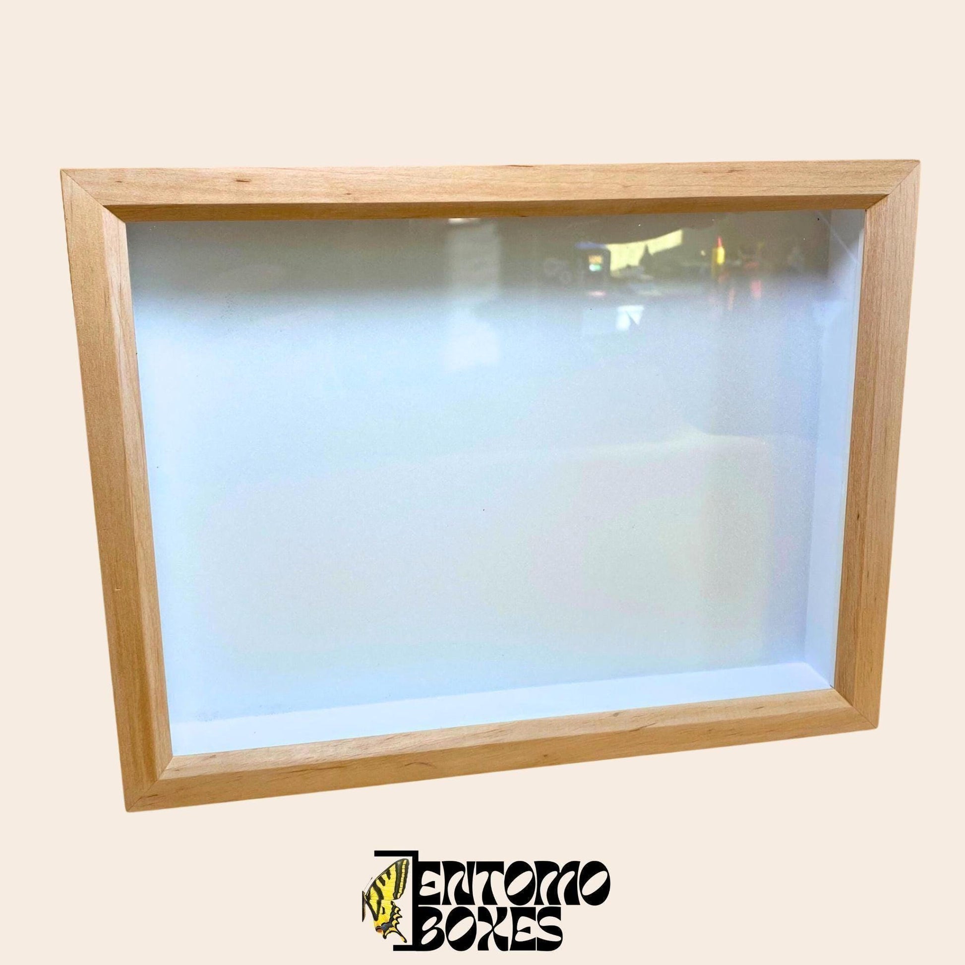 insect display box (etsy image id: 8003492692)