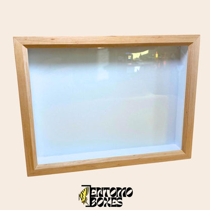 insect display box (etsy image id: 8003492692)