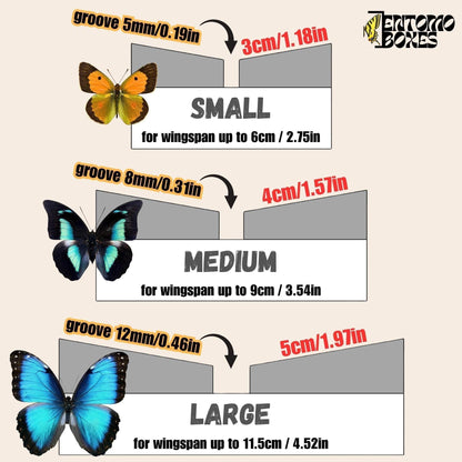 BUtterfly pinning setting spreading board angled foam with grid sticker (etsy image id: 8008512992)