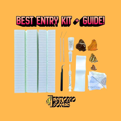 butterfly collection starting kit (etsy image id: 8011201116)