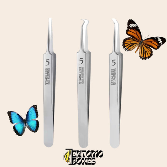 fine tip entomology tweezers (etsy image id: 8035064007)