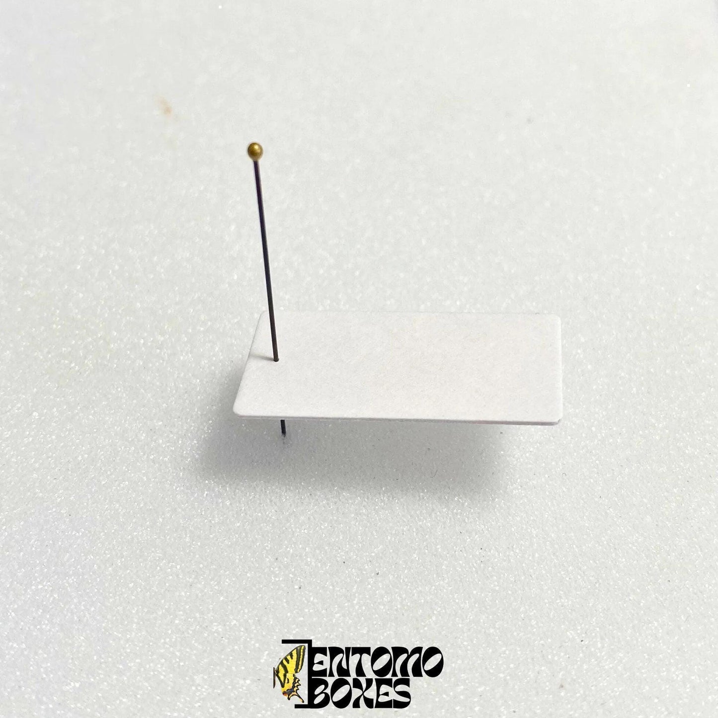 insect mounting paper card (etsy image id: 8048728327)