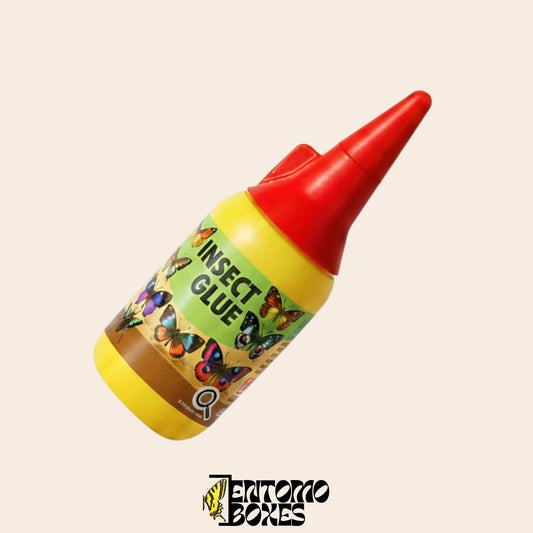 insect entomology glue (etsy image id: 8056398177)