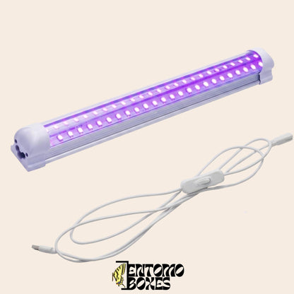 led light for attracking moths and insects during the night