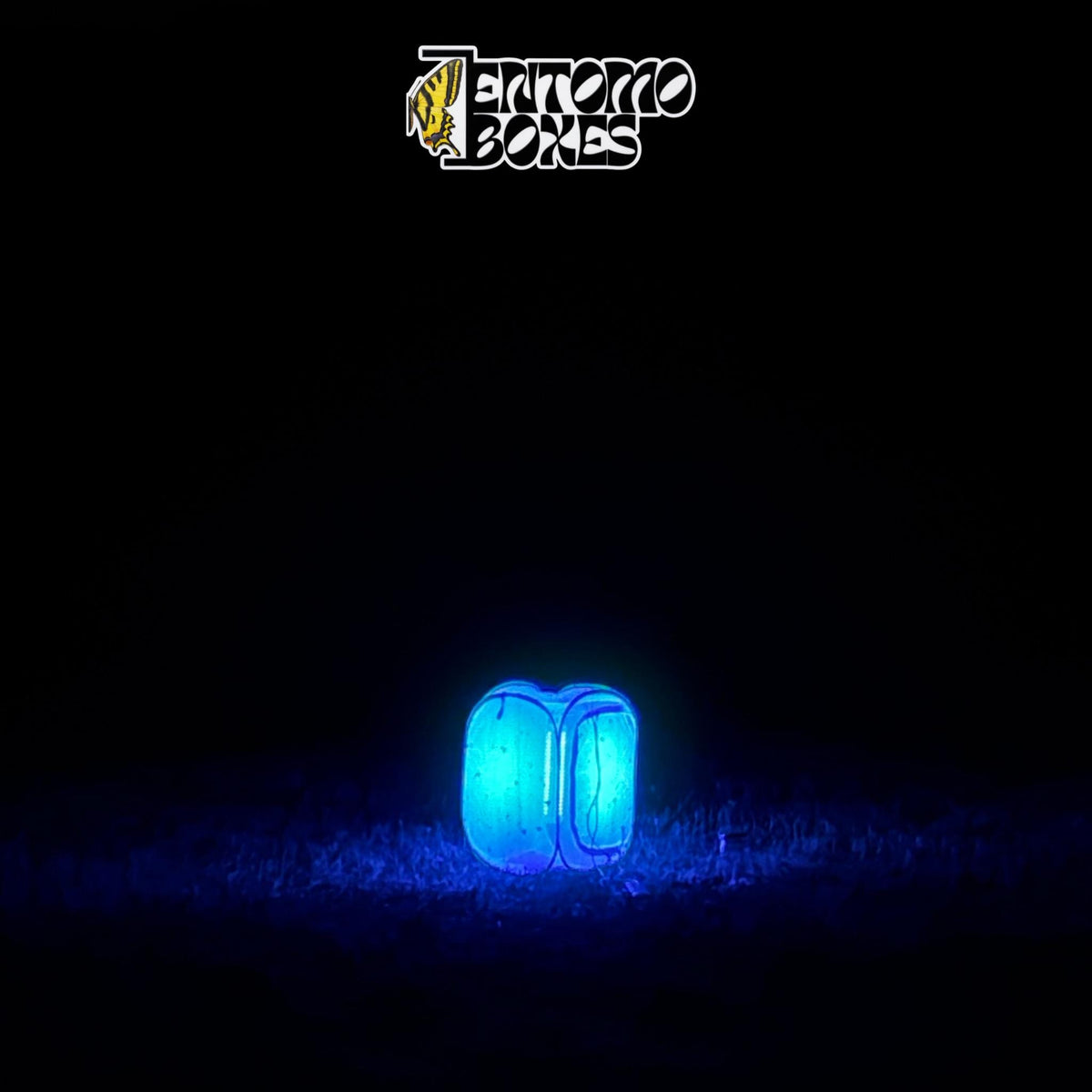 EntomoBoxes moth light trap as the only light source glowing blue in a dark field at night