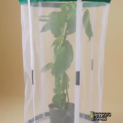 Cylindrical Breeding Cage