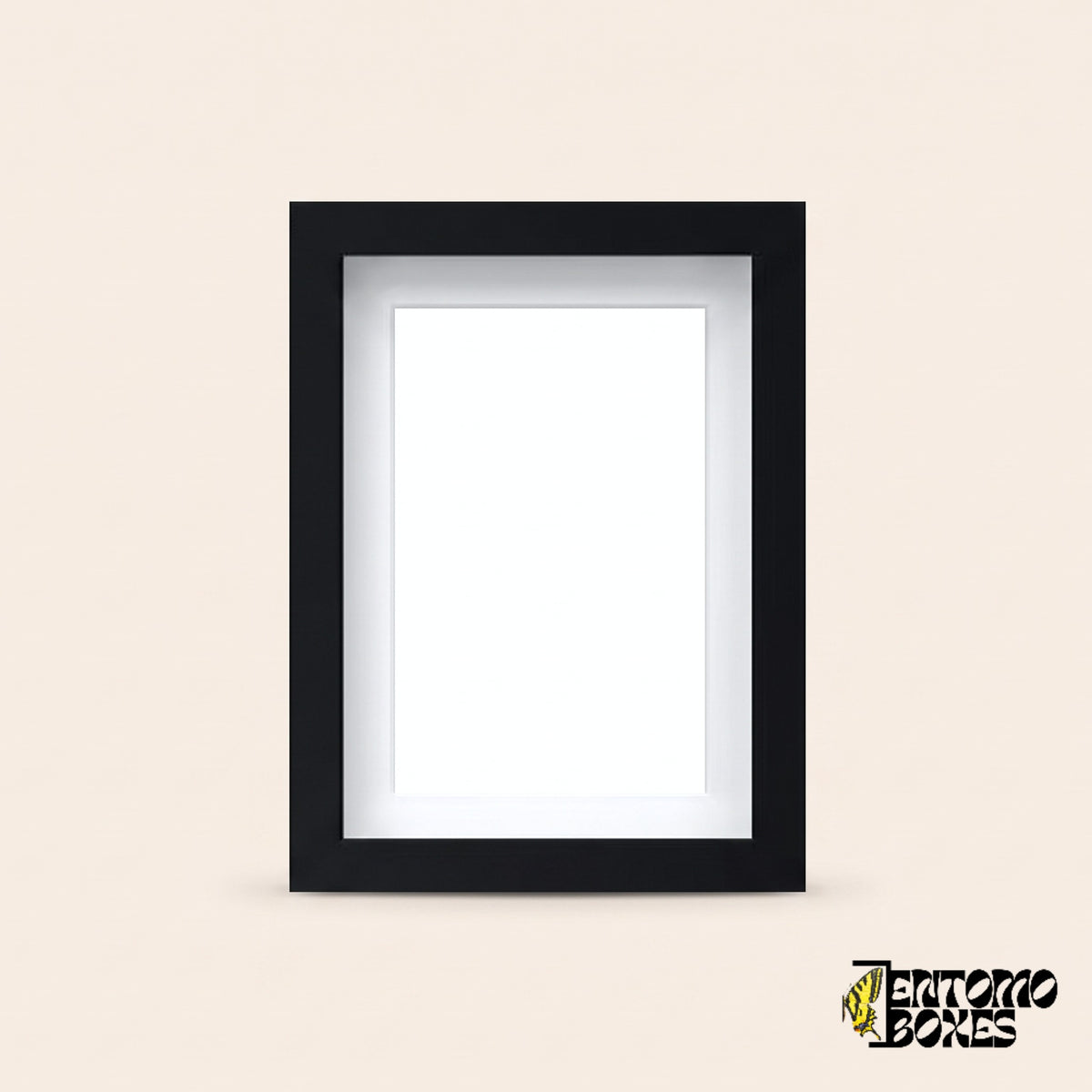 Black shadow box frame for insect and butterfly display, front view